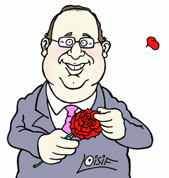 medium_Hollande_rose.gif